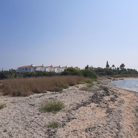 איה נאפה Villa Anastassia מראה חיצוני תמונה