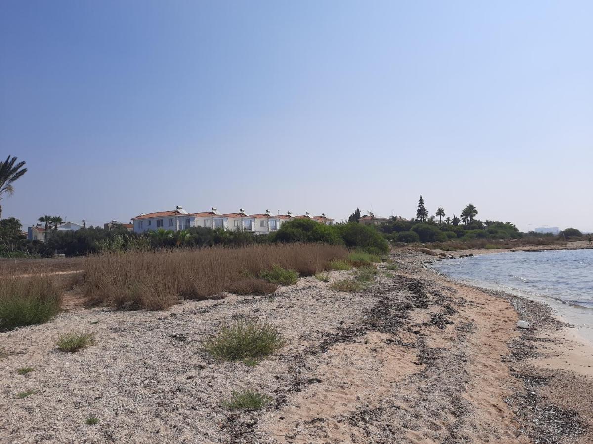 איה נאפה Villa Anastassia מראה חיצוני תמונה