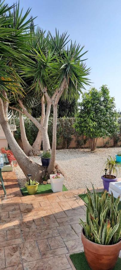 איה נאפה Villa Anastassia מראה חיצוני תמונה